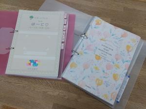 まとめリヒトラブメディカルサポートブック・クリヤー A4タテ 2穴 180枚収容 ピンク HB666-5 1冊×10セット21楽天市場 リヒトラブ soeru クリヤーブック ポケット交換タイプ A4 タテ型 30穴 N-8501LIHIT LAB. ファイル デザインおしゃれ かわいい