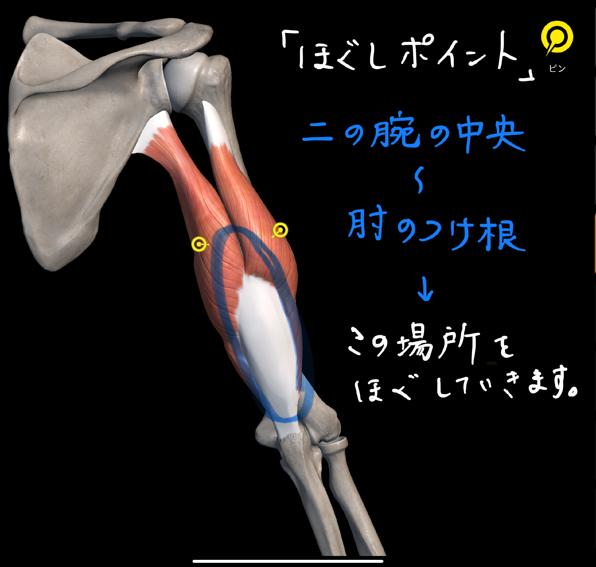 7回ぐるぐる腕回し」で、不調がどんどん軽くなる1日7秒手を伸ばしなさいダイヤモンド・オンライン