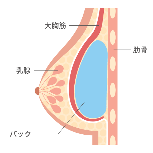 セックスしたいアナタヘ ～バックでの挿入テク～