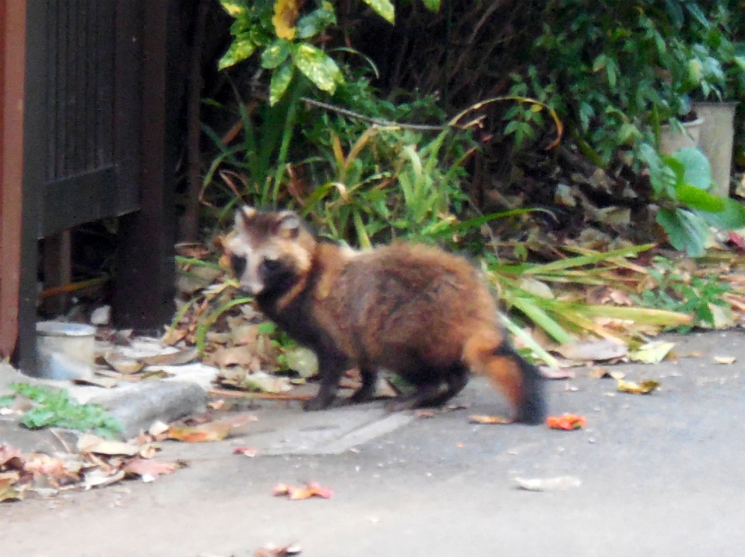 ジブリ22作品興行収入ランキング！作品の見どころや豆知識もドドンと紹介