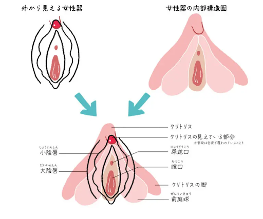 指ズボ高速オナニーのエロ動画 1件 - 動画エロタレスト