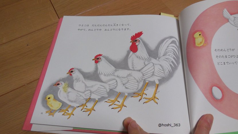 「絵本を読むニワトリとヒヨコ」,n_characters,イラスト,illust,proreate,動物キャラクター,にわとり,ひよこ