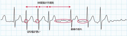 ナイトレイとGMOリサーチによる共同分析「訪日中国人は東京で何をする？」 | Nightley