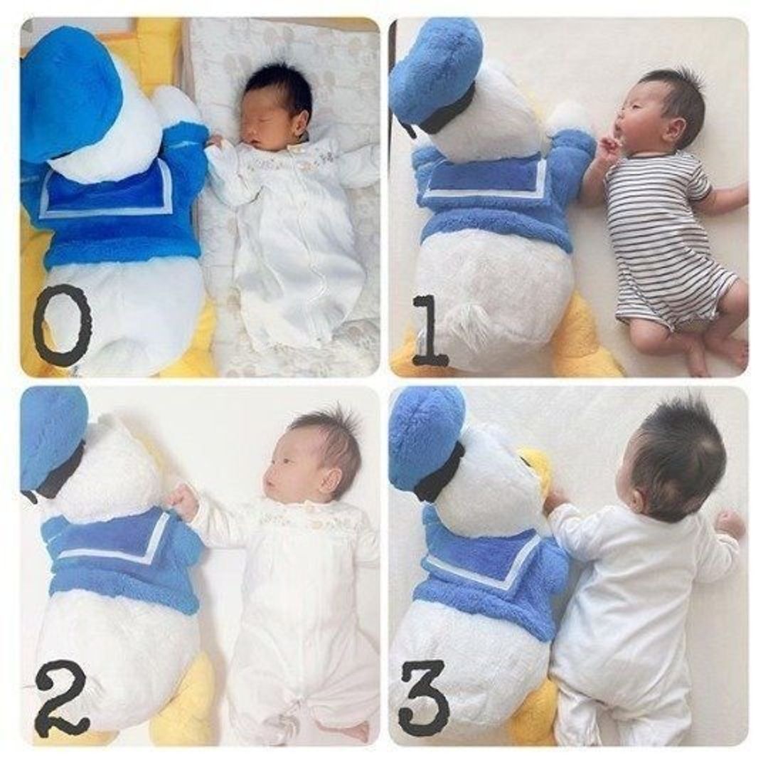 赤ちゃんの頭はなぜ大きい？赤ちゃんManabiya まなびやベビー用品のアップリカ公式サイトAprica