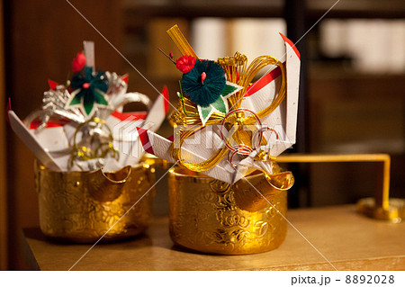 楽天市場 雄蝶 雌蝶の通販