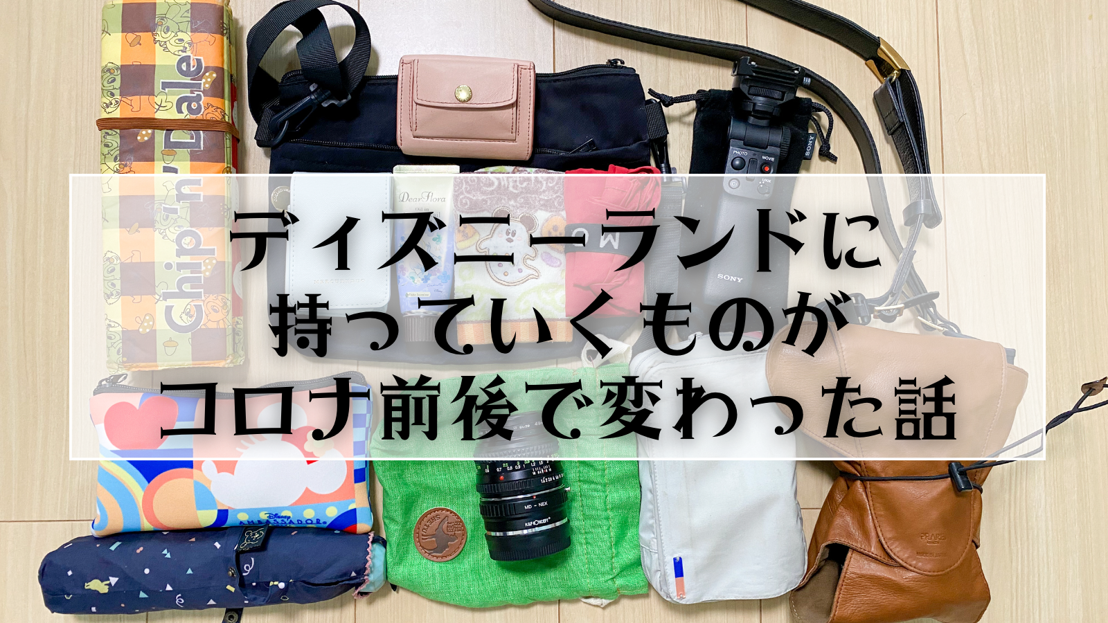 失敗しない！子連れディズニー 持ち物リスト を年齢・季節別にチェック！4yuuu