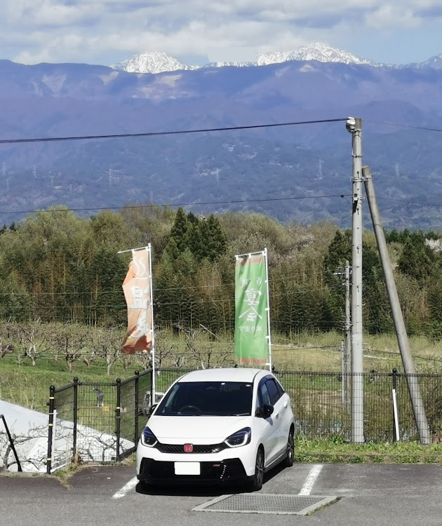 幕末維新の歴史に思いを馳せながら、桜満開の伏見水路巡り！』伏見(京都)の旅行記・ブログ by kayoさん【フォートラベル】