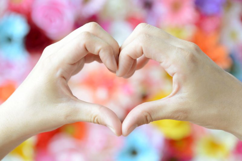 友情」の花言葉友達に贈りたい素敵な花言葉17選観葉植物・お花の通販 AND PLANTSアンドプランツ