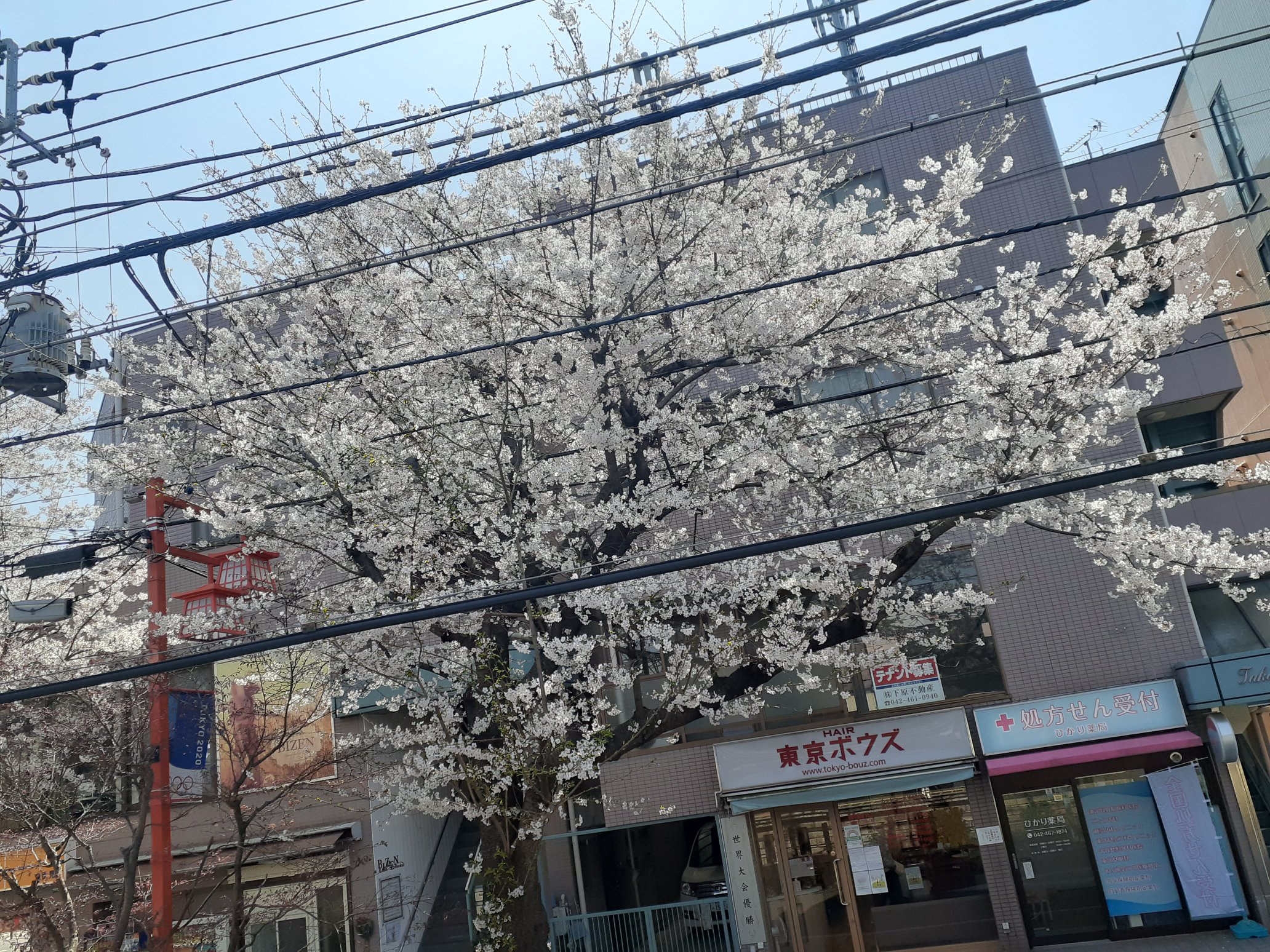 hair make BIZEN東伏見本店の美容師スタイリスト(正社員)求人情報 -東京都西東京市-