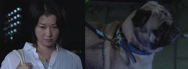 まだ結婚できない男」“激カワ”パグ犬が話題！マネジャー＆飼い主に聞く「田中太郎ってどんなイヌ？」＜完全版＞WEBザテレビジョン