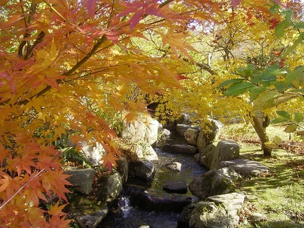 2023年最新 福岡のおすすめデートスポット10選！定番から穴場まで