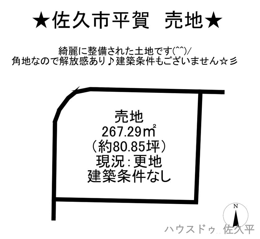 ホワイト ハワイアンスタイル - 料金・客室情報（301） 長野県