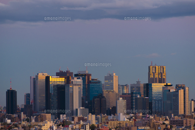 練馬区役所の夜景情報