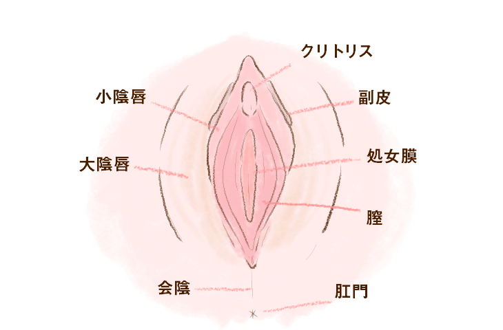 図解！画像解説】クリトリスの正しい触り方。女をイカせまくる手マンの達人が教えるクリトリスの愛撫方法