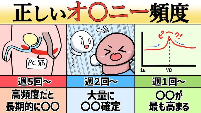 オナニーの平均回数は？適正な頻度とは？ – メンズ形成外科 |