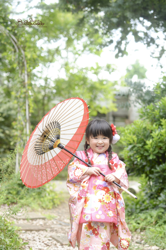 七五三 和 髪飾り 花 着物 七歳 三つ編み 小学生 浴衣 小学生 3才 子供 洋風着物 753 髪かざり 卒業式4本選べるヘアードセットアリスアナベル&ミニマム&かすみ草 ヘッドドレス 4本ヘアアクセ 袴 ドライフラワー 編み込み かんざし かわいい ヘアピン ラプンツェル