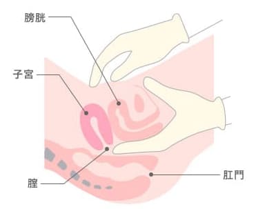 どうして濡れないの？ひとりエッチが気持ちよくない人のための処方箋｜ナイトソルベ ～ エロいことが好き…♡