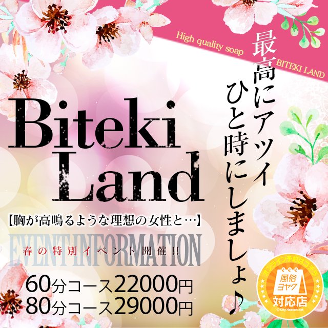 体験談】城東町のソープ「Biteki Land(ビテキランド)」はNS/NN可？口コミや料金・おすすめ嬢を公開 | Mr.Jのエンタメブログ