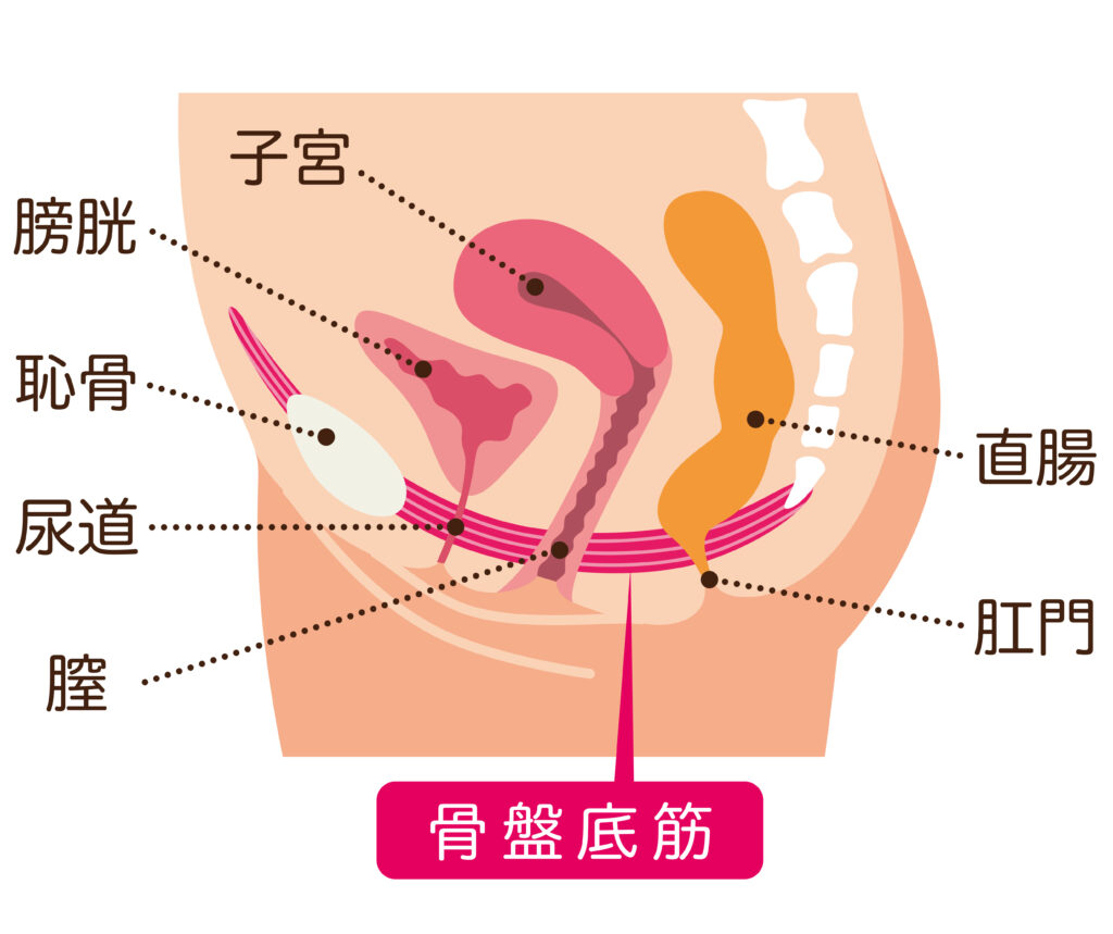 あなたのセックスレスは間取りが原因かも⁉ 一級建築士が教える理想的な間取りとは | 毎日が発見ネット