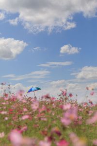 約２年ぶりに村上市「桃川のおたきさま」へ【新潟県の名水】 - 加持顕の日々是新潟