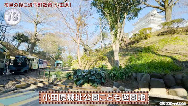 城址公園 小田原子ども遊園地 - 小田原市、こども遊園地の写真 - トリップアドバイザ