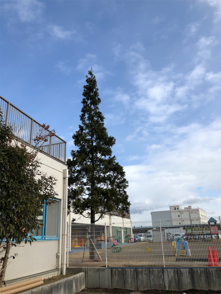 2025年最新 扇町まるさんかくしかく保育園の求人・転職・募集情報 保育士 パート・アルバイト -宮城県仙台市宮城野区 保育士バンク！