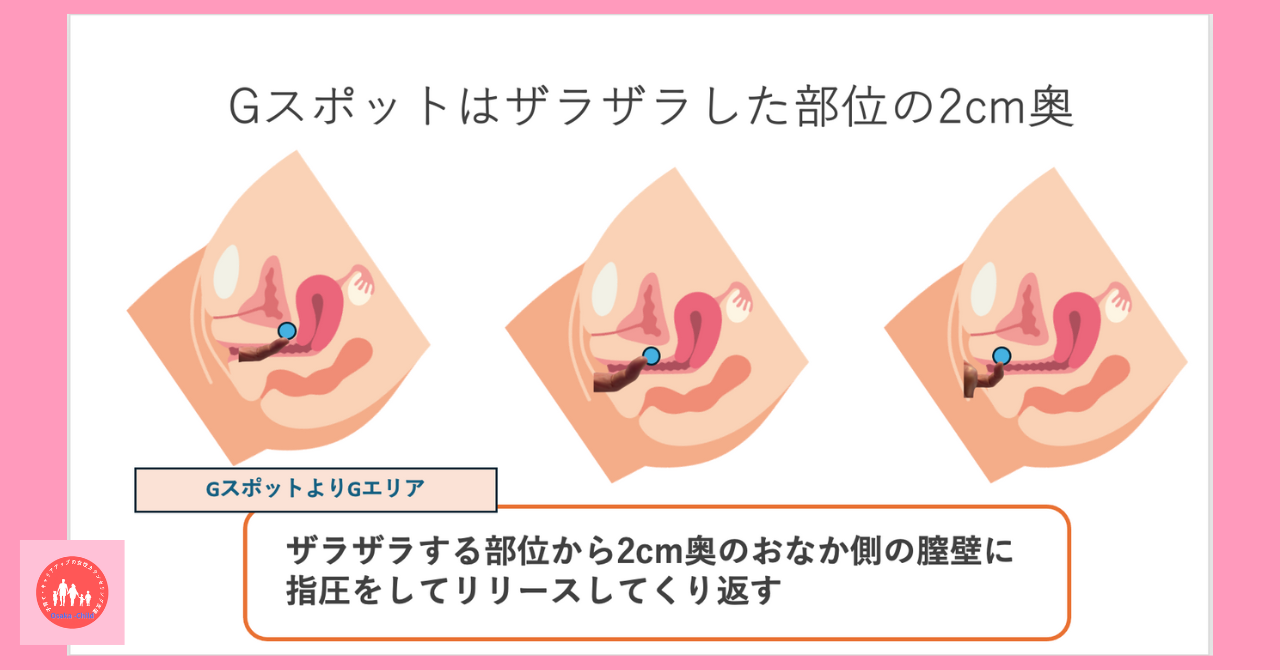 Gスポット開発とは？場所と位置の見つけ方 - 夜の保健室