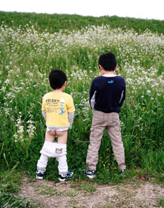 あそあそ自然学校 夏休み！子どもサマーキャンプ２００５