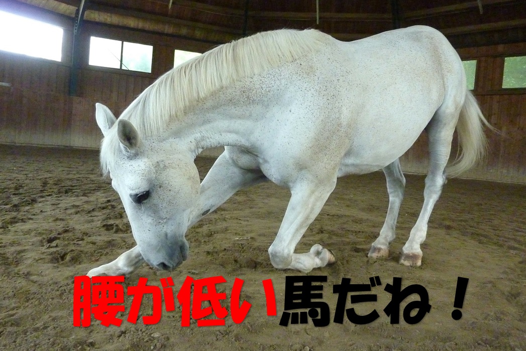 腰が低いこしがひくいkoshigahikui 은 무슨 뜻인가요?-일본어 사전, 일본어 한국어 사전 Mazii