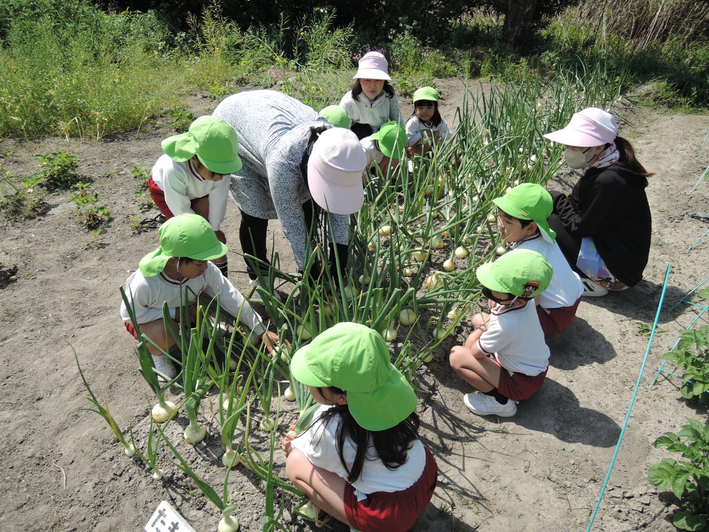 家族ゆり組」の小説・夢小説無料スマホ夢小説ならプリ小説 byGMO