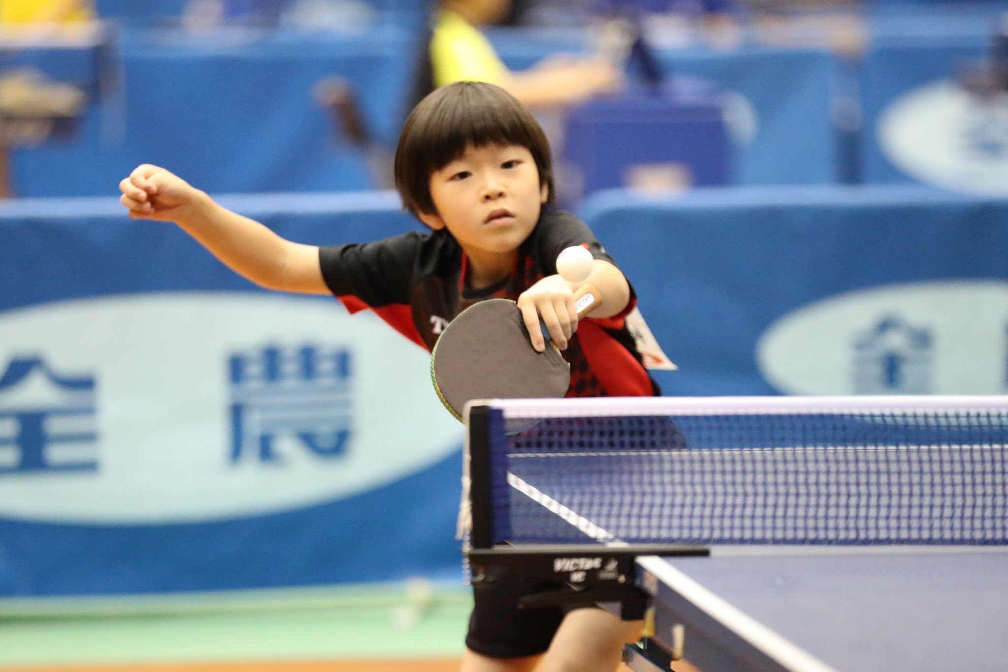 8月13日はバンビのお誕生日！ - アートギャラリーエドム