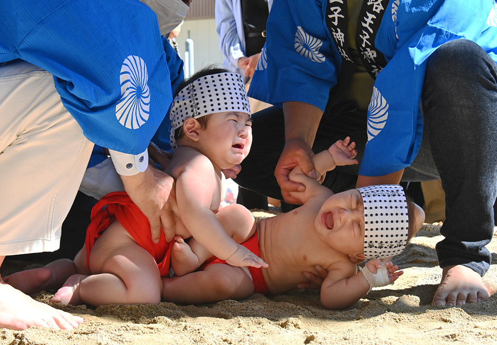 野庭聖佳幼 稚 園 ちびっこ力士奮闘 まわし身に付け本格相撲港南区・栄区タウンニュース