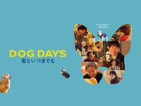 韓国系アメリカ人俳優『ダニエル・ヘニー』の多彩な演技と人柄に迫る！韓ドラ・マルシェ