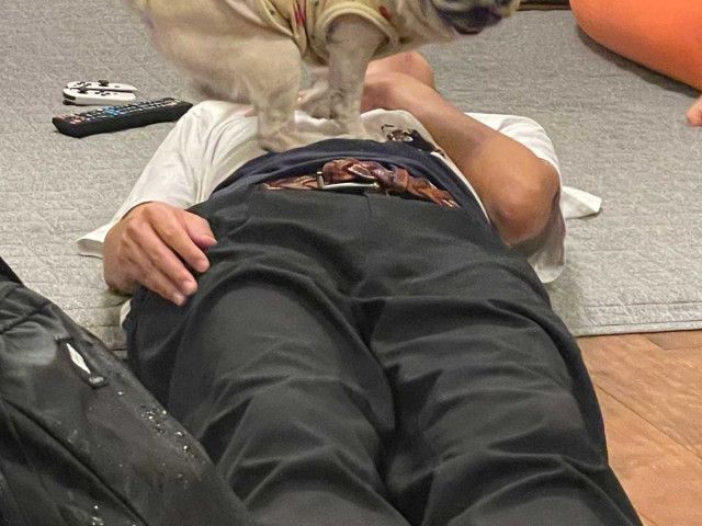 床に寝転がる女性モデル5 - No: 273382写真素材なら「写真AC」無料 フリー ダウンロードOK