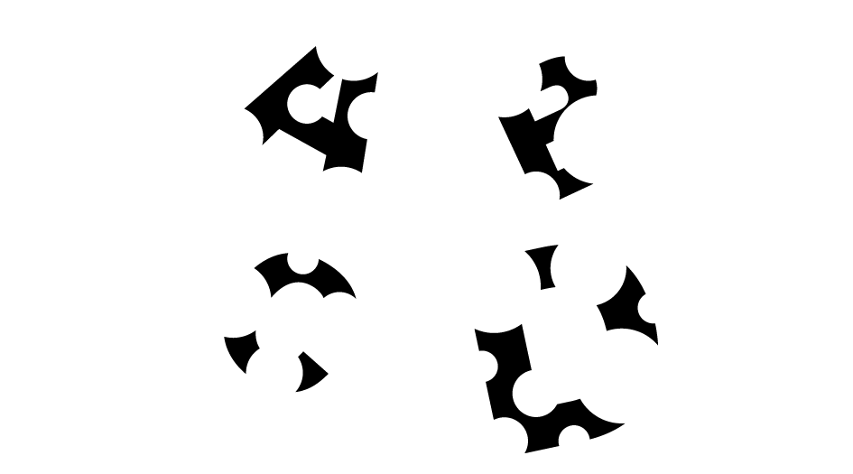 錯視と脳」 日本大学 2010