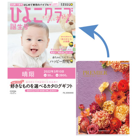 たまひよの内祝 出産内祝いの「のし 熨斗 紙」の書き方・かけ方内祝い・出産内祝いのマナーガイド