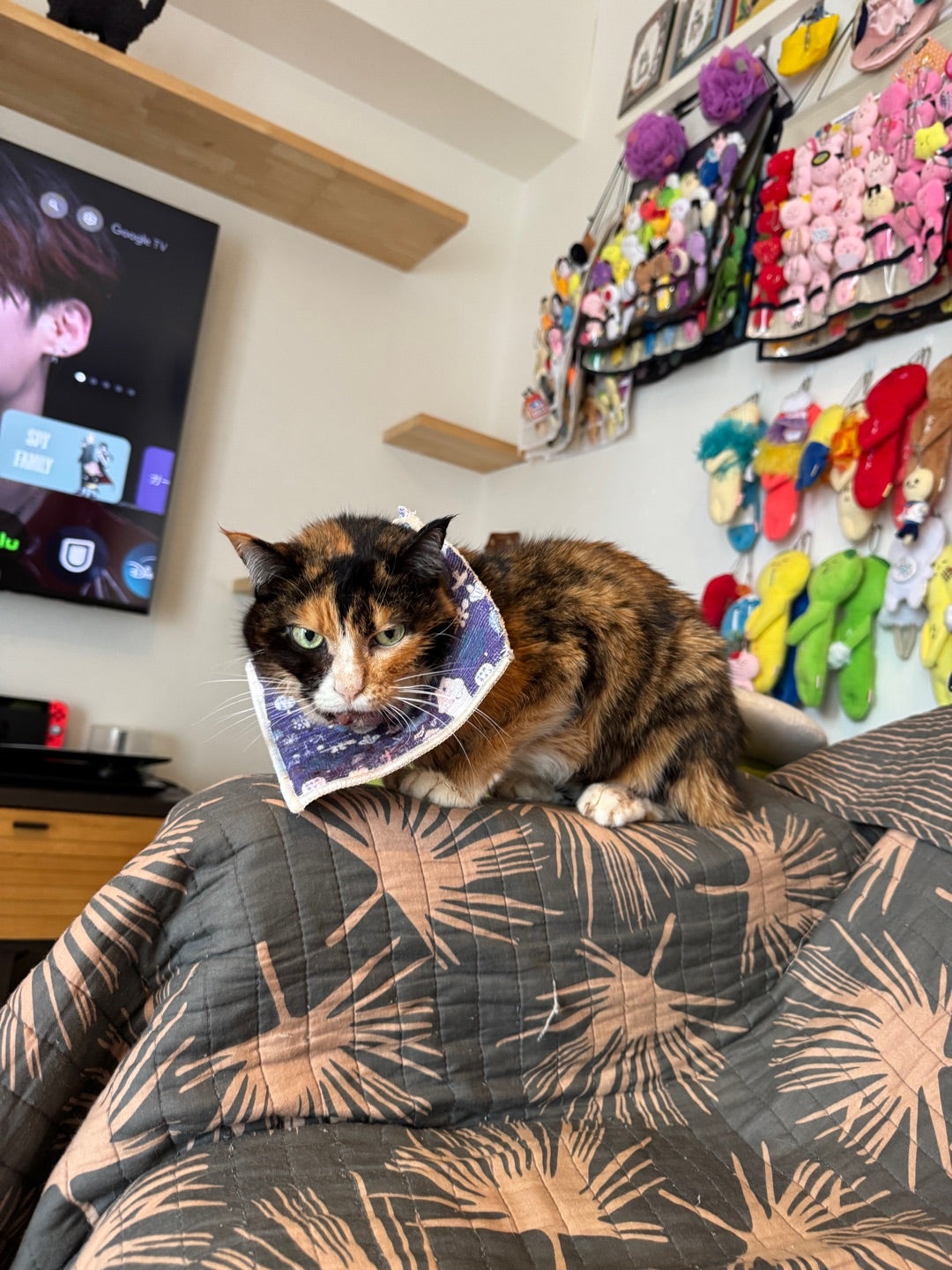 18歳以下の子どもに1人5000円分のギフトカード配布 多治見市が10月から：中日新聞Web