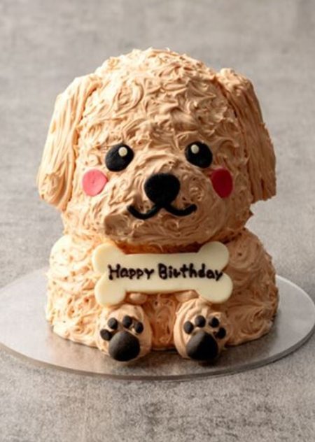 犬 ハーフバースデーTikTok