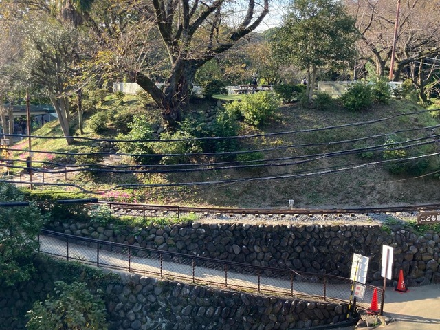 小田原城址公園こども遊園地のメリーカップ - 小田原の端々