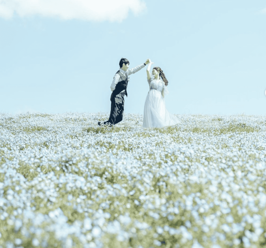 和装前撮り桜シーズン