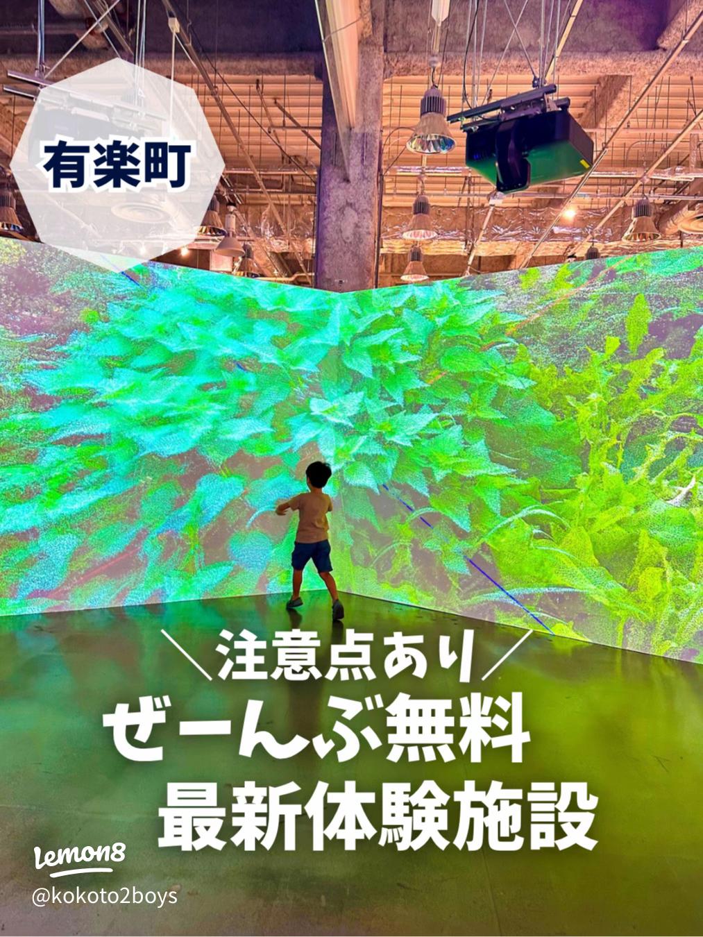 銀座店託児所ご紹介託児所-東京 銀座 の24時間保育の託児所キッズ花花