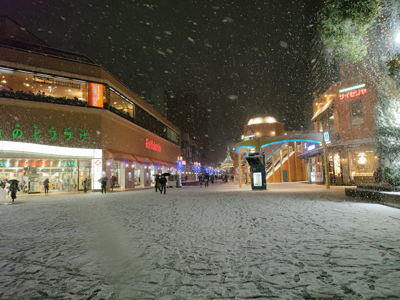 雪よ、今年もありがとう。 - 多摩市聖蹟桜ヶ丘の家庭的保育園ウィズチャイルド