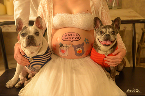 マタニティフォトをペットと一緒に撮りたい！ 2023年9月更新- YUNAGI FILMS