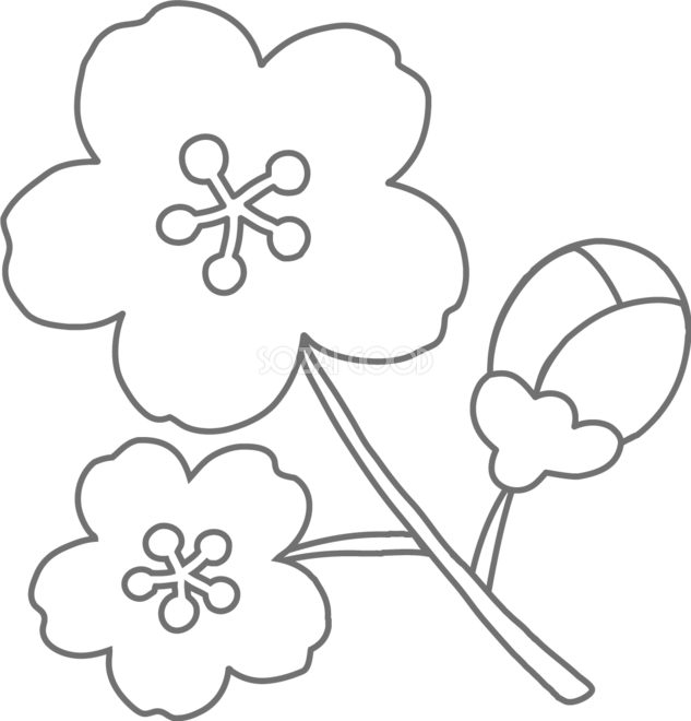 無料ぬりえ 夏の花「ひまわり」のシンプル線画子ども向け知育・観察教材に最適！無料ぬりえ 家庭・保育・介護で使える！印刷して楽しめる塗り絵 サイト「ぬりえん」