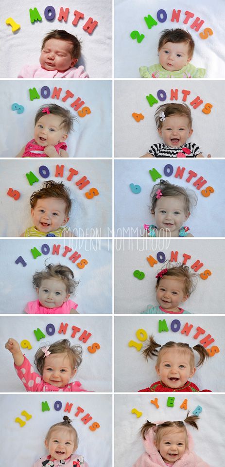 おなかの赤ちゃんの成長過程を妊娠週別に徹底解説妊娠・出産お役立ちコラムステムセル研究所