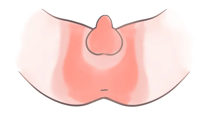 アカチャンホンポ 赤ちゃん本舗 の公式ネット通販赤ちゃんの日限定パッケージ 水99％ Super 厚手 60枚×20個新生児からのおしりふき 厚手 : おむつ・おしりふき・トイレアカチャンホンポ Online Shop