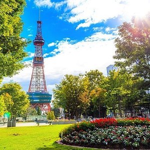 札幌 一人飲みのChoiグループ（立喰酒場Choi）。出張,０次会,女子向け等個性が違う11店