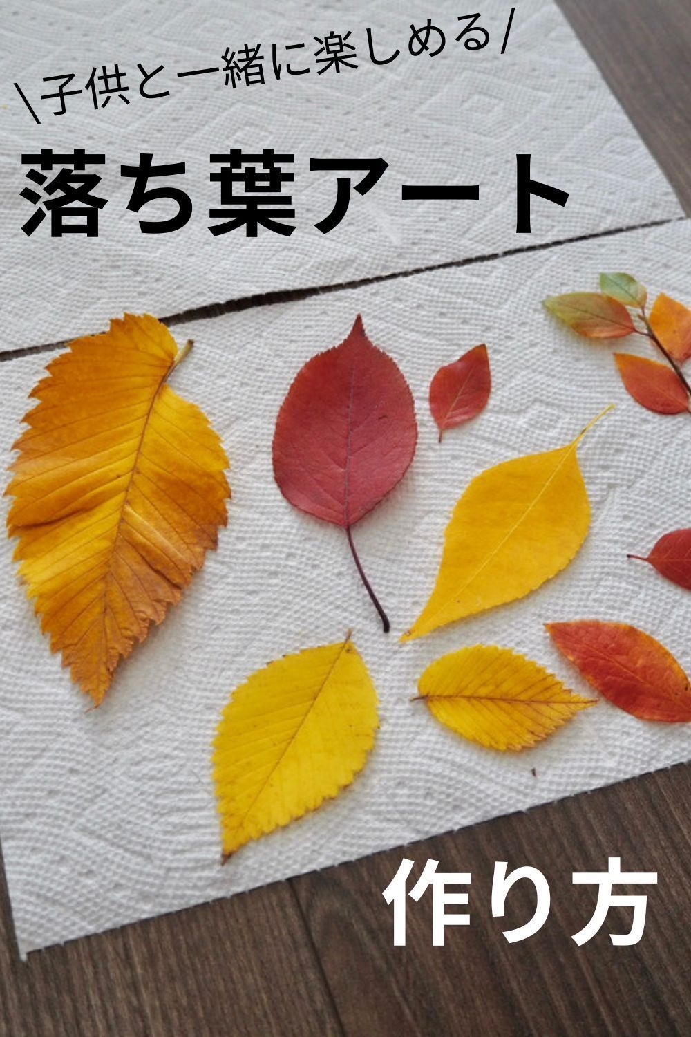 自然を満喫！どんぐりや落ち葉で遊ぼう♪エデュテ本店