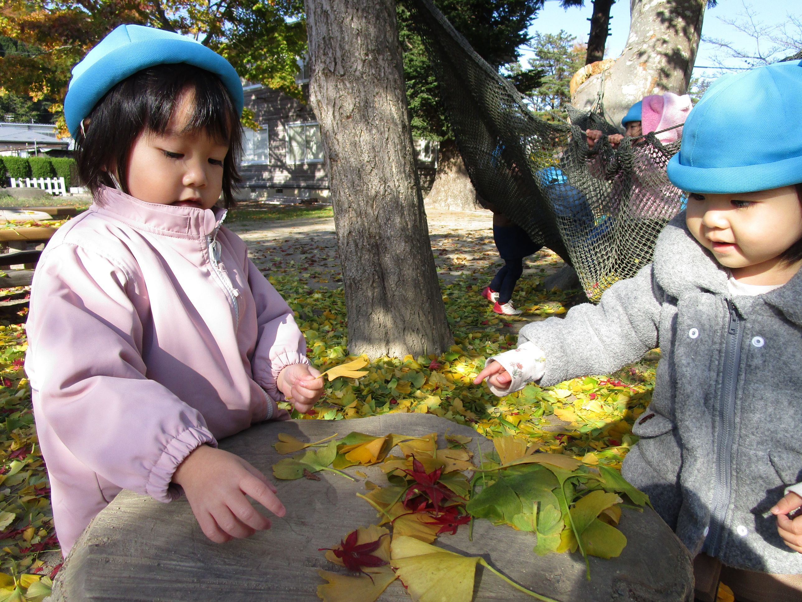 秋遊び 子どもの五感を育てる！しぜん知育遊び７選 理学療法士 レミママ- エキスパート - Yahoo!ニュース