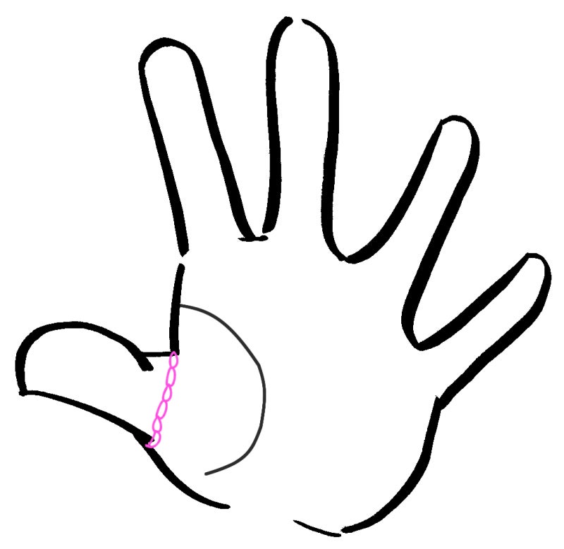 手相占いファミリーリング 家族思いで家庭的に恵まれることを表す